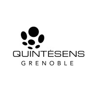 Quintésens Grenoble logo - Similar company to Quintesens