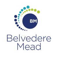 Belvedere Mead logo - Similar company to Equinox Underwriting