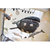 Muséum d'histoire naturelle du Havre logo - Similar company to J.A.M. Jaroszynski Art Museum