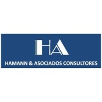 Hamann & Asociados, Consultores S.A.C. logo - Similar company to Probaticius