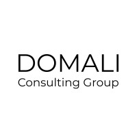 Domali Consulting Group logo - Similar company to Vyaparcred