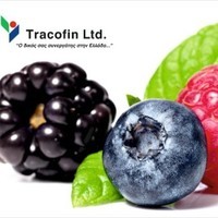 Tracofin Ltd -Trading of Fruit & Vegetable Products logo - Similar company to P. Michalakis Pc