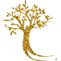 New Heights Educational Group, Inc logo - Similar company to Asili Entertainment