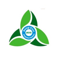 Being-Cost Integrated Solution logo - Similar company to Green Axis