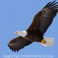 Eagle Eye Investments Group logo - Similar company to Nextaone Business Solution