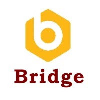 Bridge Auditors & Consultants logo - Similar company to Gateway & Associates