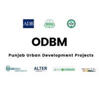 ODBM Consultancy - Punjab Urban Development Projects logo - Similar company to Rsa Lab