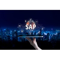 SAP Course With 100 % Job Gurantee logo - Similar company to Sap Online Training With Certification