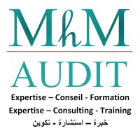 MhM Audit logo - Similar company to Ml Experts