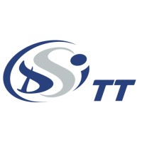 DSI TT logo - Similar company to Bureau Gestion Conseil 31 - Hightekway