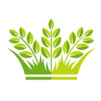 Fresh Organic Greens