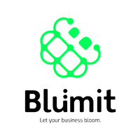 Blumit logo - Similar company to Blumbit