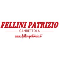 Fellini Patrizio Srl logo - Similar company to Mazzoni Spa