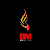 BM di Macidonio Salvatore & C. s.a.s. logo - Similar company to R.G. Fer S.A.S.