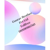 Gaurav Brother Pvt Ltd logo - Similar company to Technology Solution Consultants Llp