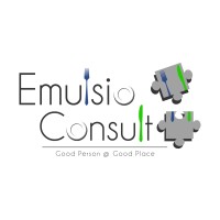 Emulsio Consult logo - Similar company to Whitlock 16 Hotel