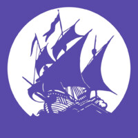 Union Pirate logo - Similar company to Golden Flying Dragons Business Consultancy
