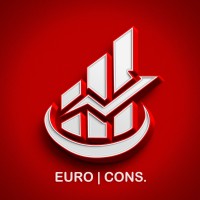 Euro Cons logo - Similar company to Ae Consulting Llc