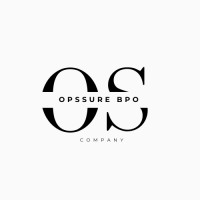 OpsSure BPO logo - Similar company to Digital Nomads For Good