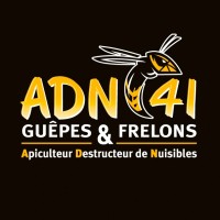 ADN 41 Guêpes Frelons Dératisation logo - Similar company to L'As Du Nuisible- Dératisation Désinsectisation Désinfection
