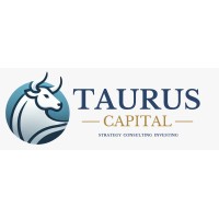 TaurusCapital logo - Similar company to Smartclout