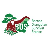Borneo Orangutan Survival France logo - Similar company to Terre À Web