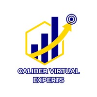 Caliber Virtual Experts logo - Similar company to Aaronn Inc.