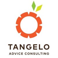 Tangelo Advice Consulting logo - Similar company to Practice Dynamix Pty Ltd