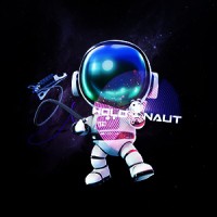 HOLONAUT logo - Similar company to Plincs Gmbh