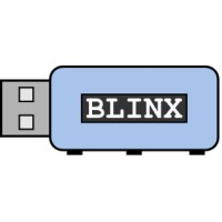 BLINX logo - Similar company to Codeboot