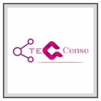 Teqcense Consulting Pvt. Ltd. logo - Similar company to Uclik Technologies Private Limited
