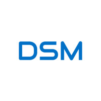 DSM Infocom Private Limited logo - Similar company to Smart Wave Industries