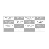 Tregoning Property logo - Similar company to Thomas Homes Real Estate Llc