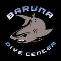 Baruna Dive Bali logo - Similar company to Vesica Property Developments