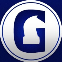 Digital Gambit logo - Similar company to Digital Gambit