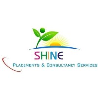 Shine Placement and consultancy services logo - Similar company to Trinetra Solutions