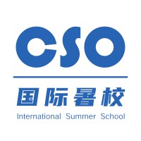武汉西索未来教育科技有限公司 logo - Similar company to Cso Education Group, Centre For Study Overseas Inc.