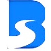 BS INFOSYSTEMS AND SOLUTIONS PVT.LTD logo - Similar company to Bs Software Agency