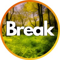 CEO BREAK logo - Similar company to Cloud Vapor