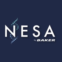 NESA by Baker logo - Similar company to Tritek Consulting Nigeria