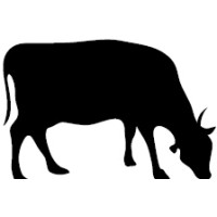 Dutch Farm Plan logo - Similar company to Fas Agri 🐄