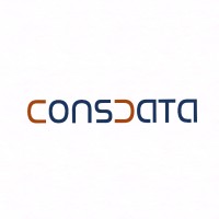 Consdata VE logo - Similar company to B2B Network