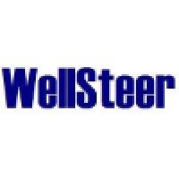 WellSteer Oilfield Technology Services Limited logo - Similar company to Advanced Quality Services Kish Ltd