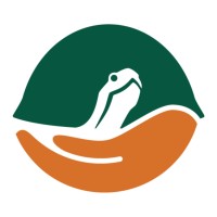 New Hampshire Turtle Rescue