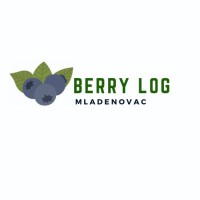 Berry Log Ltd logo - Similar company to Blueberry Agro