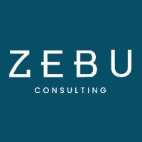 ZEBU Consulting logo - Similar company to Z