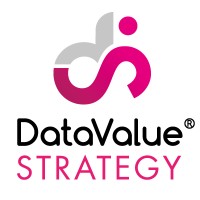 DataValue Strategy logo - Similar company to Valuedata Bv