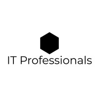 IT Professionals logo - Similar company to Dizainger School