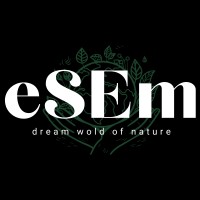 eSEm logo - Similar company to Systers