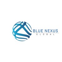 Blue Nexus Global logo - Similar company to Wizard Technologies Private Limited